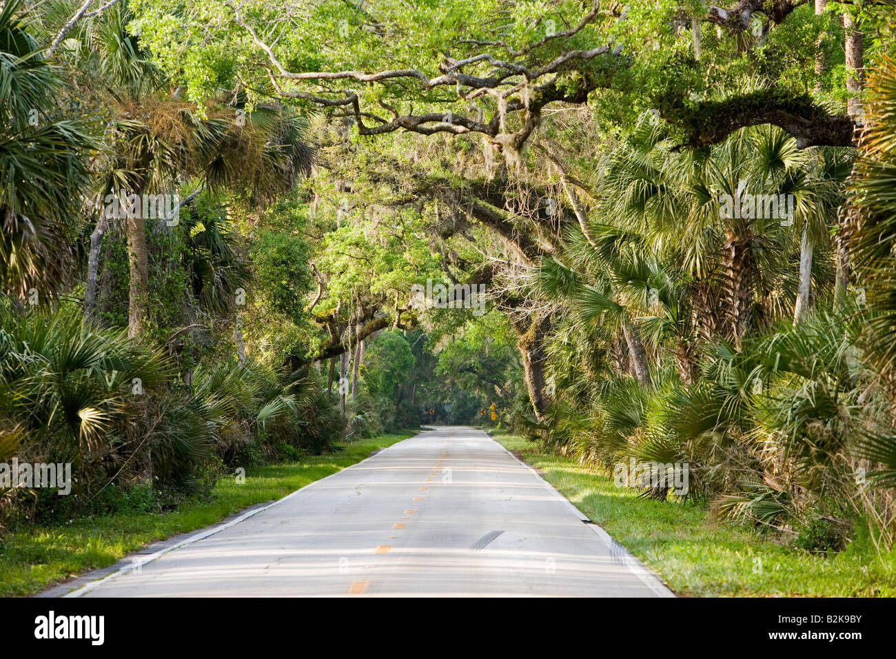 Ormond Scenic Loop and Trail, Ormond Beach, Florida Stock Photo - Alamy