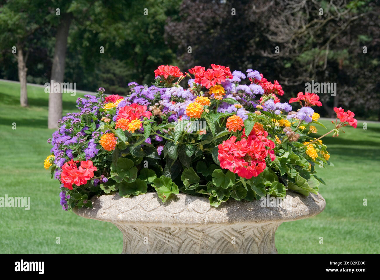 Flowers Cantigny Park Stock Photo