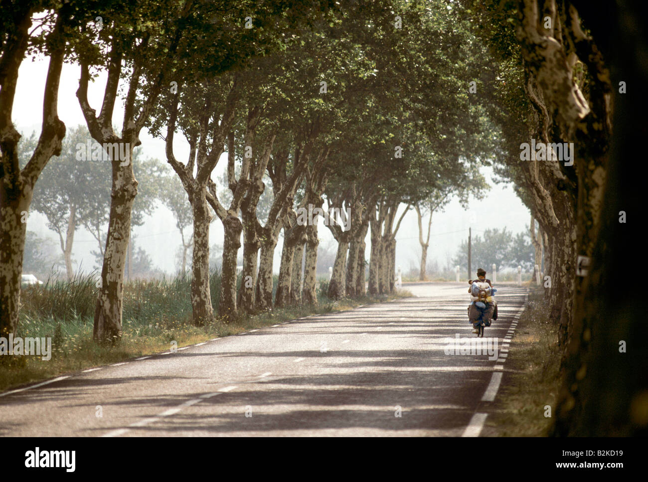 VAN GOGH MAN CYCLING HEAVILY LOADED BICYCLE ALONG TREE LINED ROAD