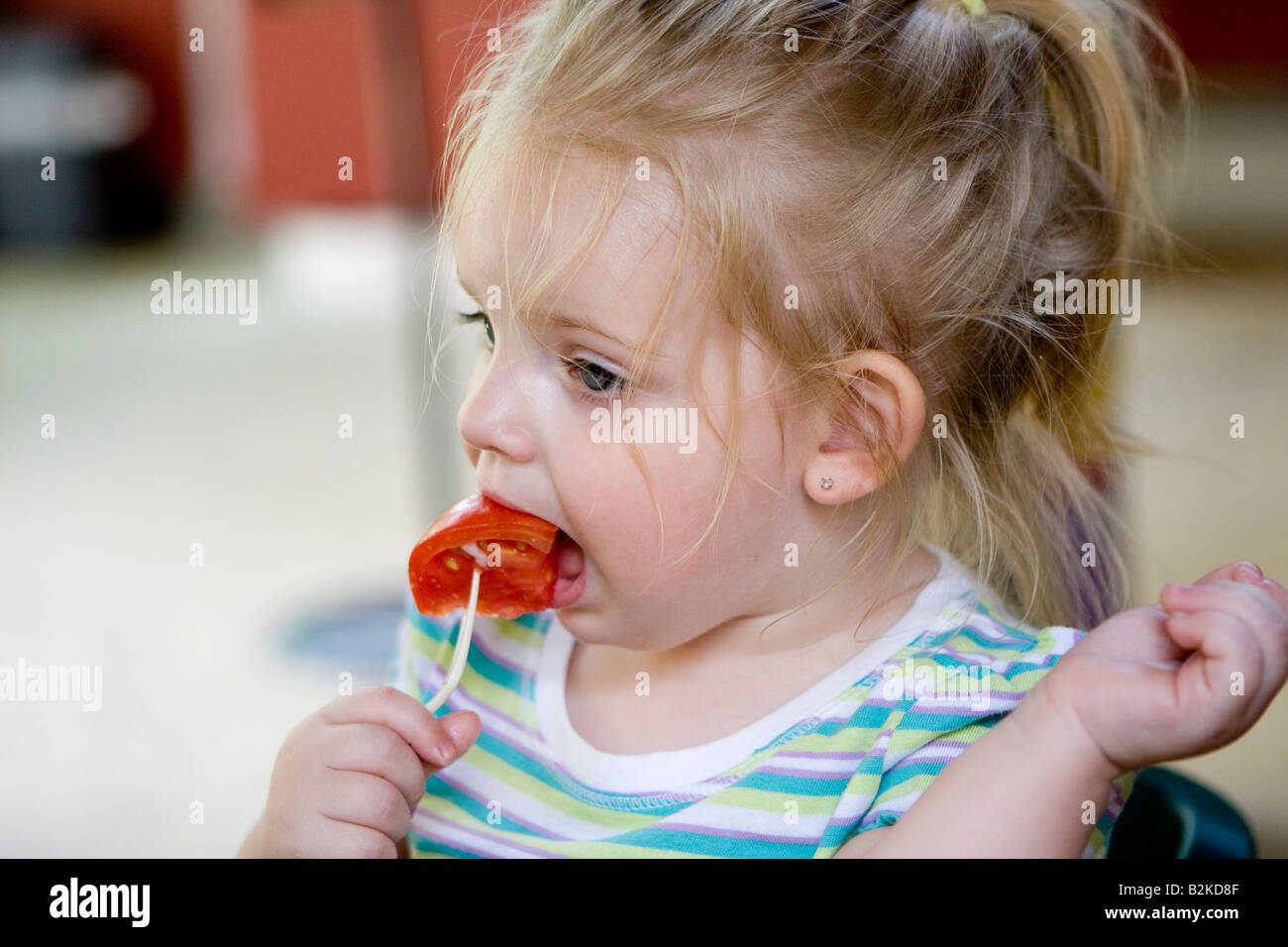 Female Toddler Eating a Tomato on a Fork Stock Photo