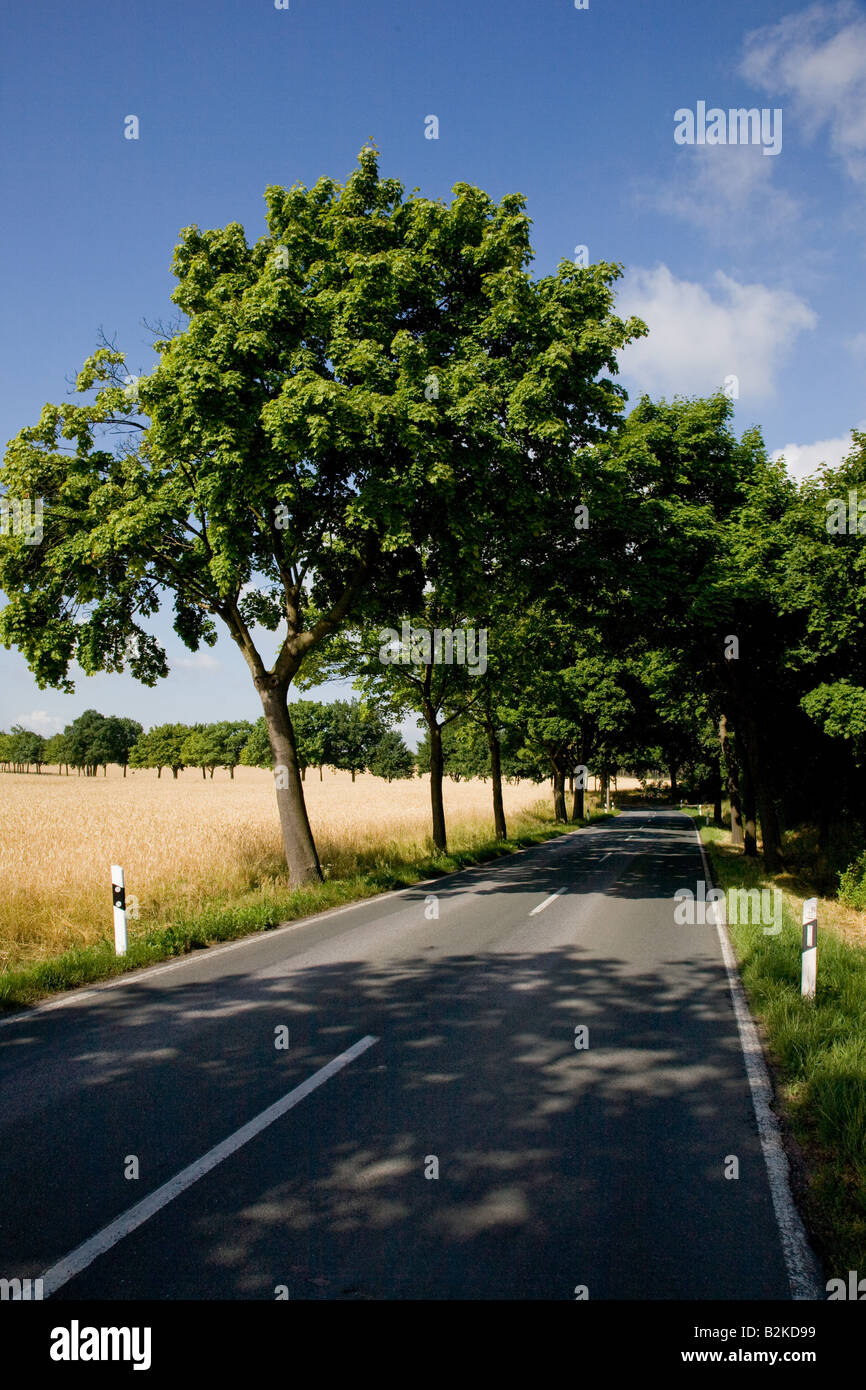 Laendlich landscape leaved trees hi-res stock photography and images ...