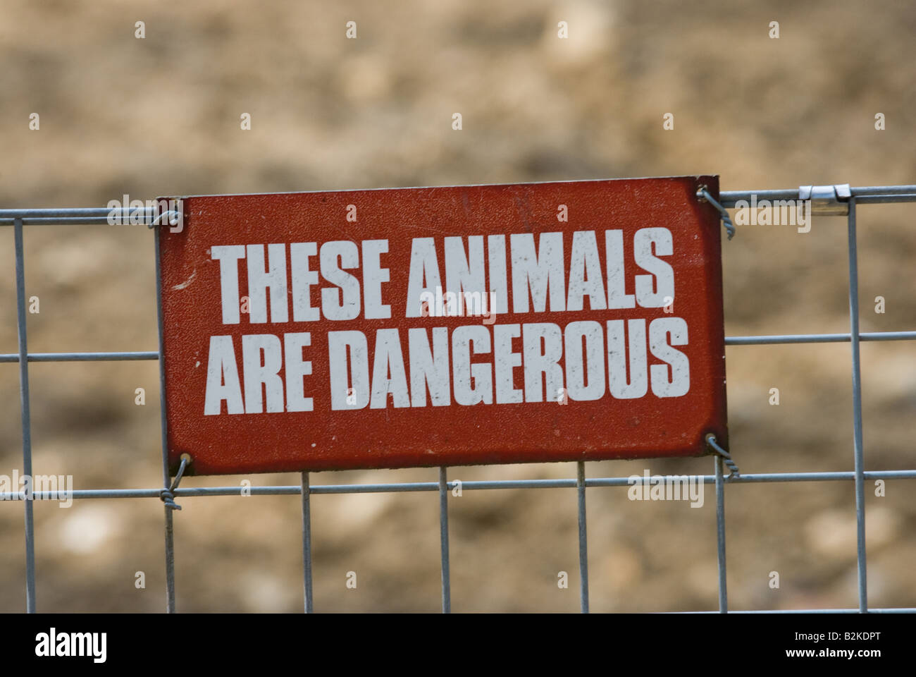 Dangerous Animals sign Stock Photo