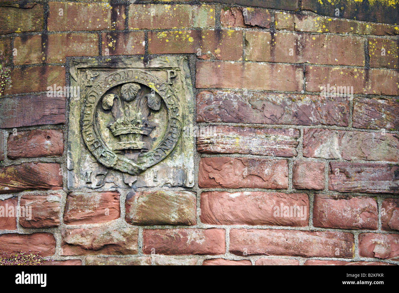 16th century plaque carved with the coat of arms of the Order of the Garter Chester wall UK Stock Photo
