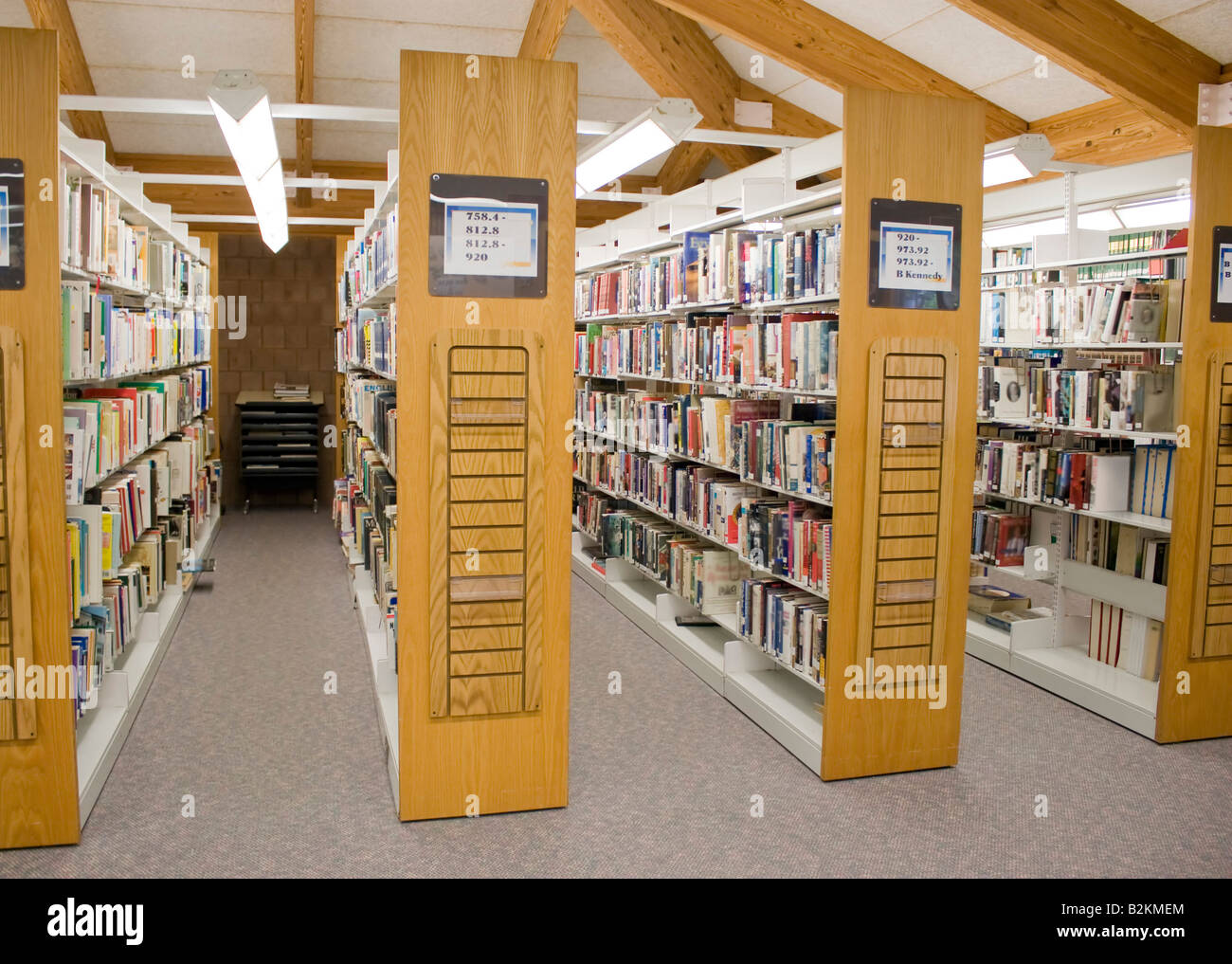 The aisles in a public library with shelves full of books Stock Photo
