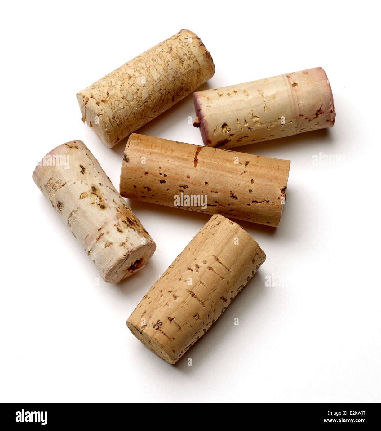 Cork seal hires stock photography and images Alamy