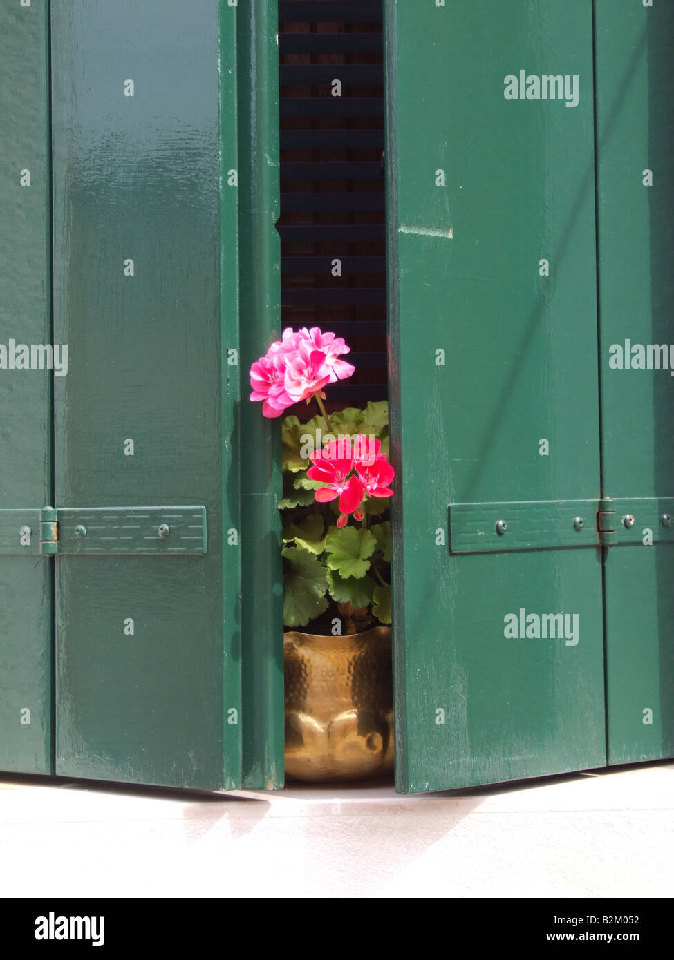 colourful flowers on window sill in venice, italy Stock Photo - Alamy