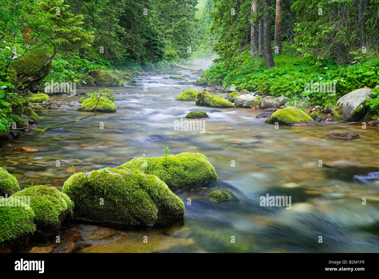 Stream in Koscieliska Valley Tatra Mountains Poland Stock Photo - Alamy