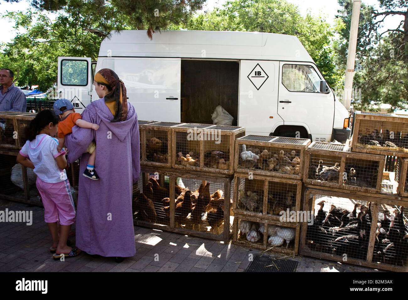 Poultry sold at the farmer's market in Sineu, Majorca, Balearic Islands, Spain Stock Photo
