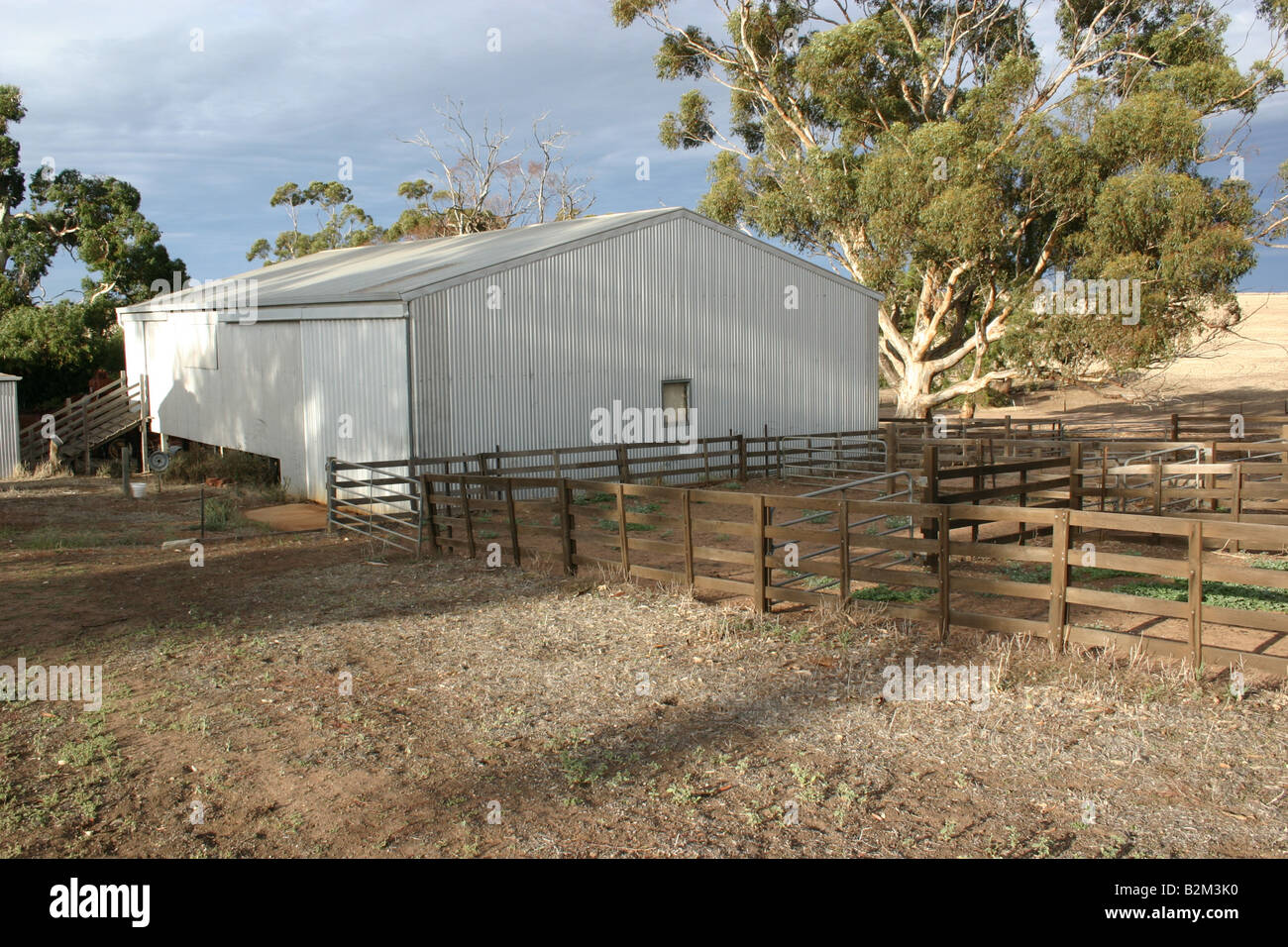 Shearing shed in Australia Stock Photo Alamy