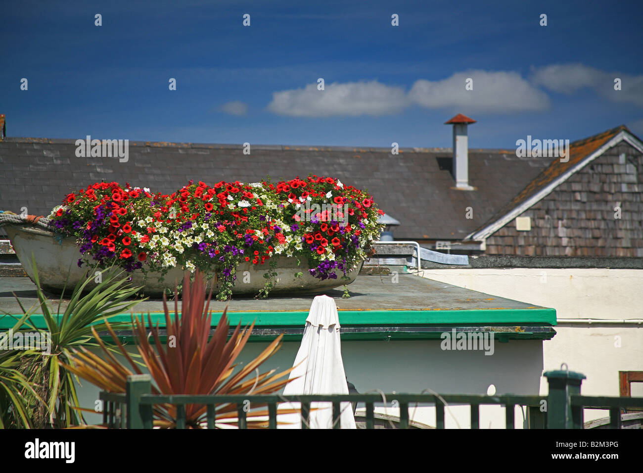 Floral display in old plastic boat on roof of garage, Lyme Regis, Dorset UK Stock Photo