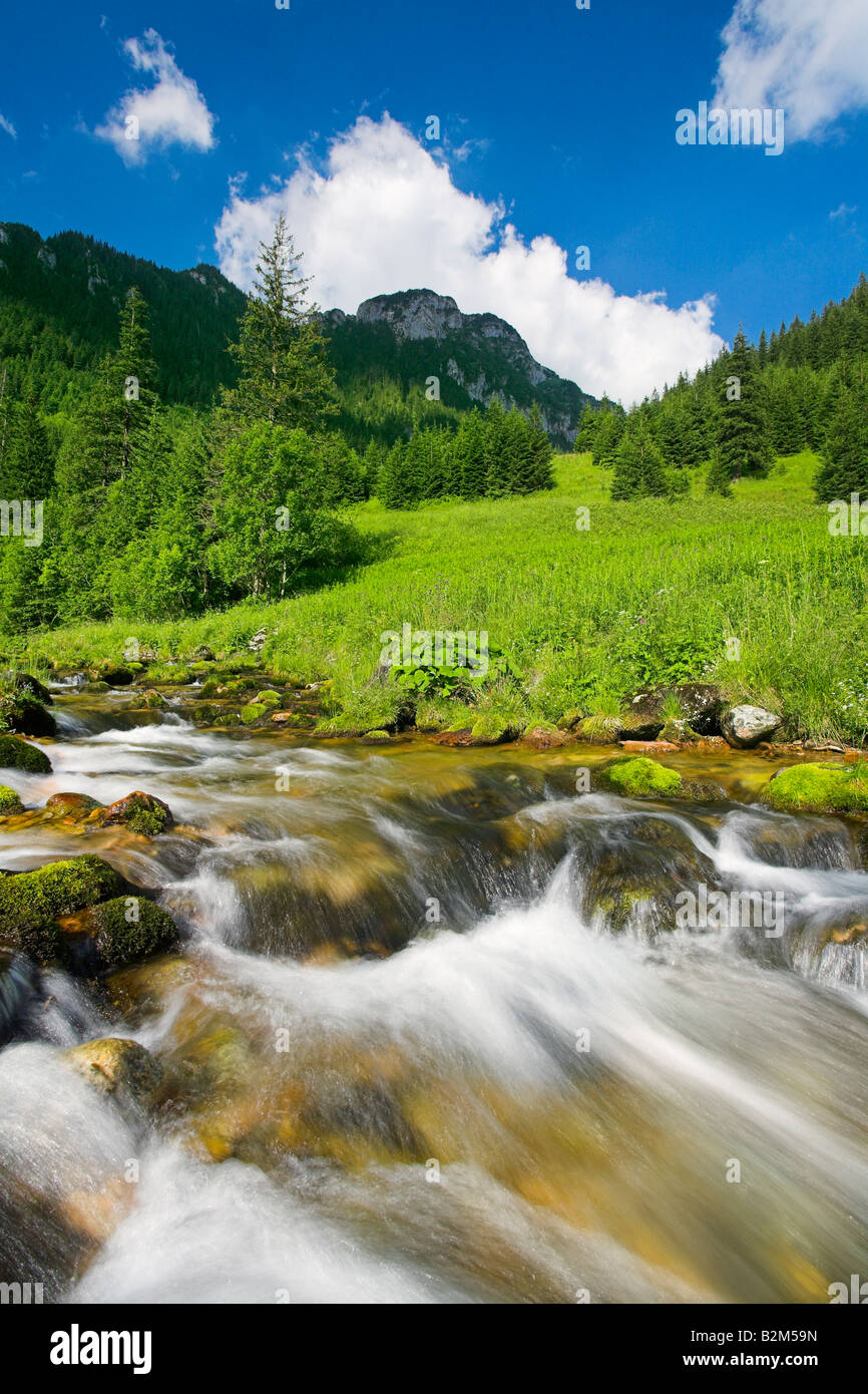 Stream in Koscieliska Valley Tatra Mountains Poland Stock Photo - Alamy