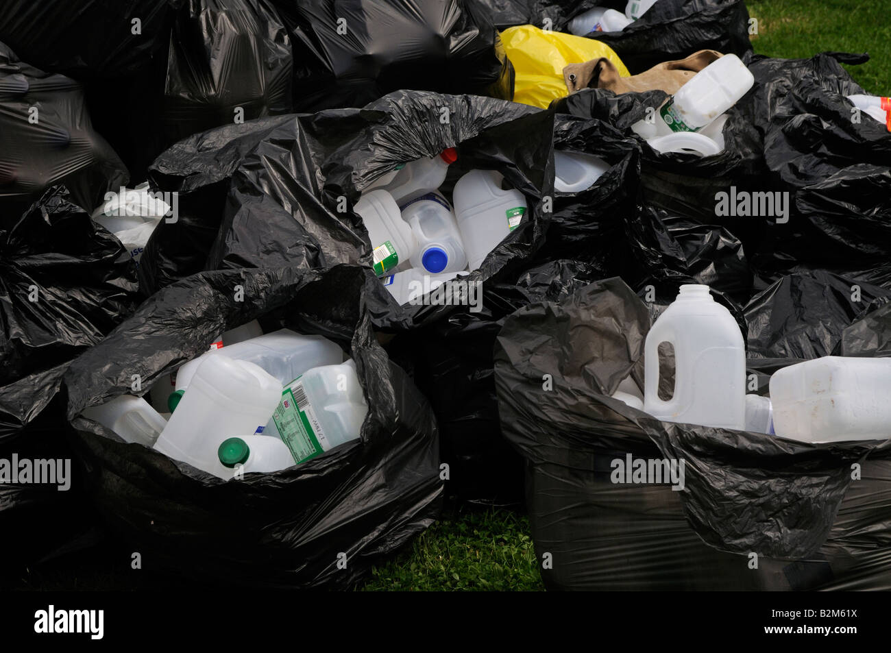 Recycling of plastic milk bottles Stock Photo Alamy