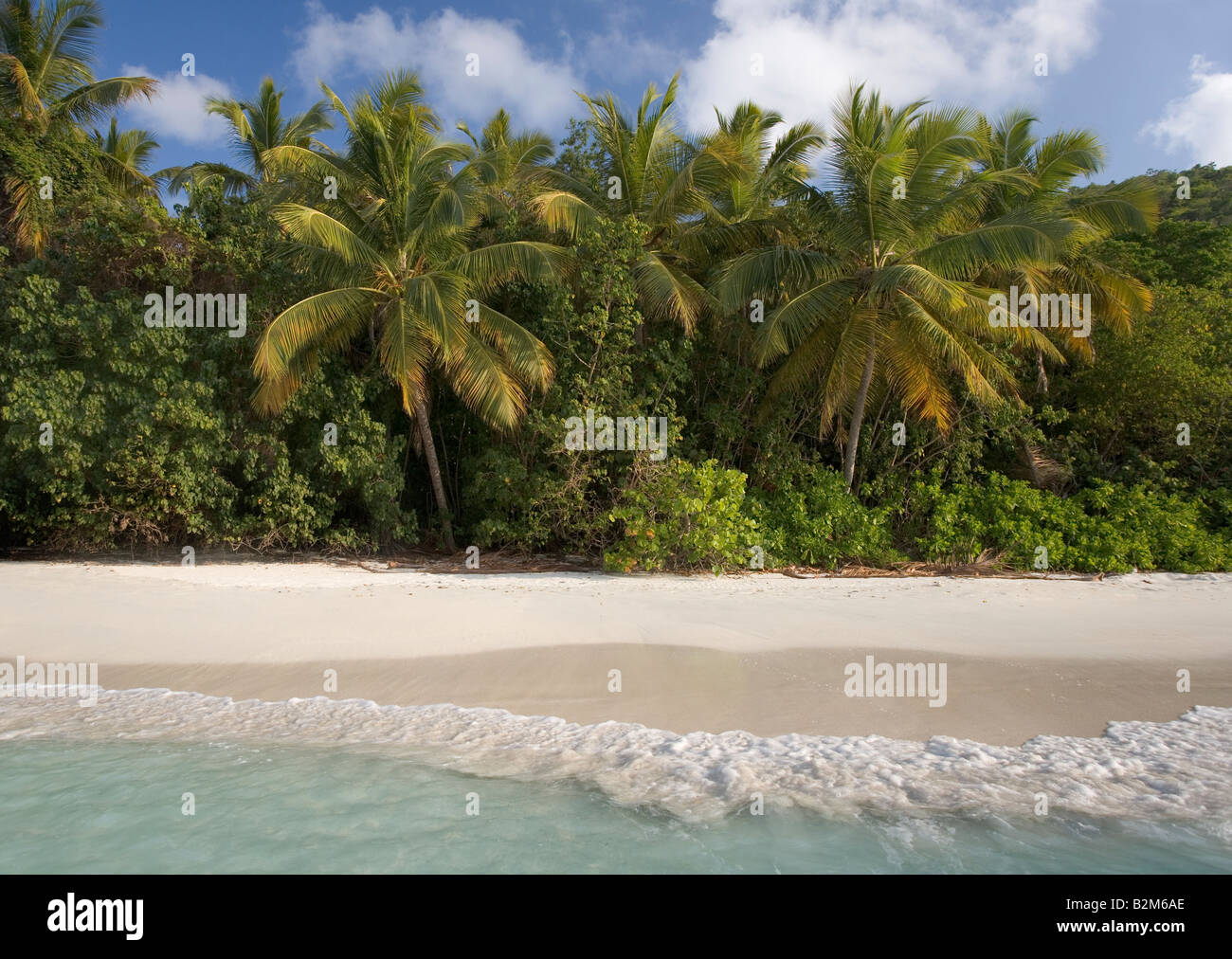 Waves breaking on the palm studded beach at Cinnamon Bay St John USVI Stock Photo