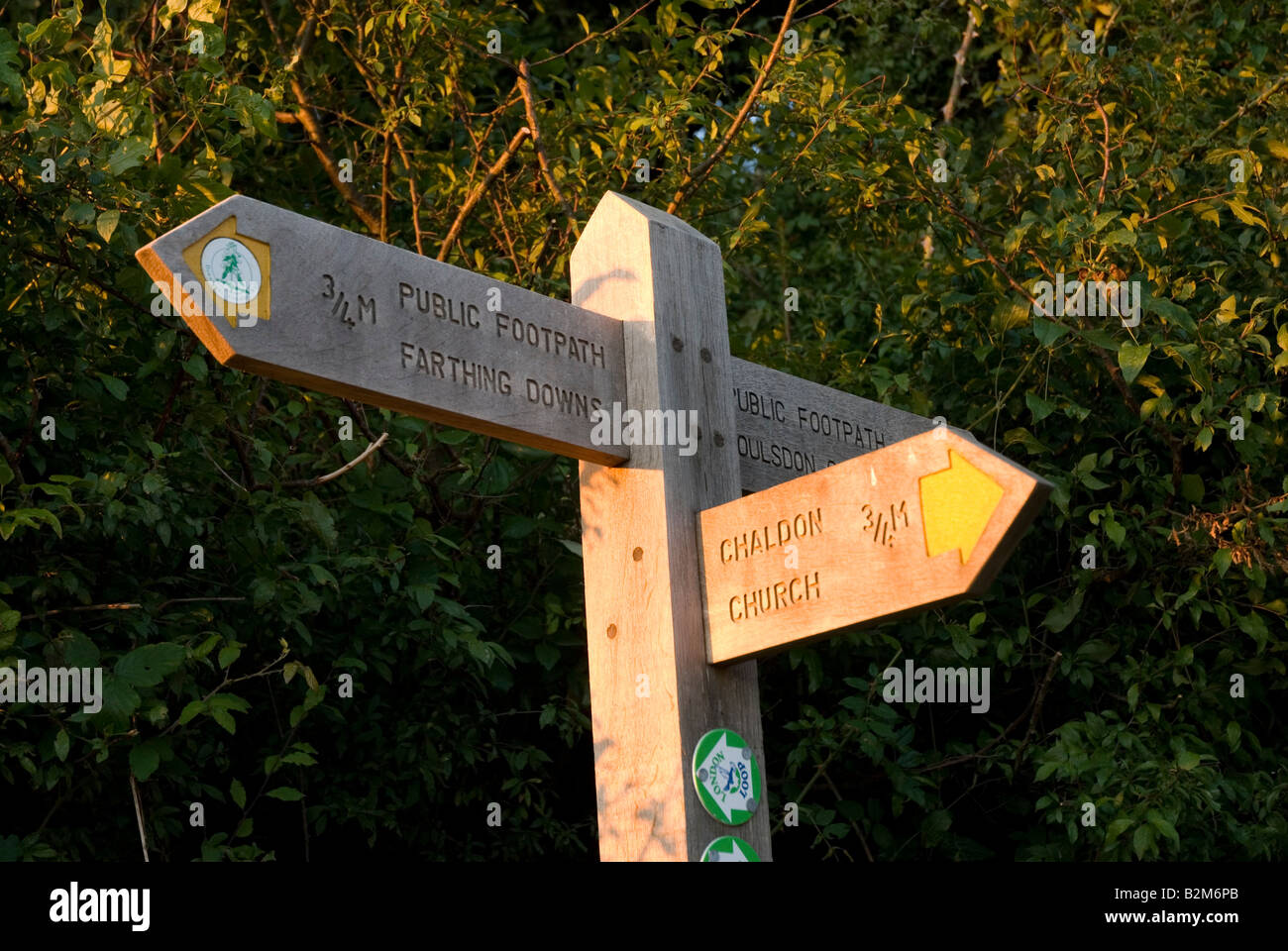 footpath Signpost Chaldon farthing downs Stock Photo - Alamy
