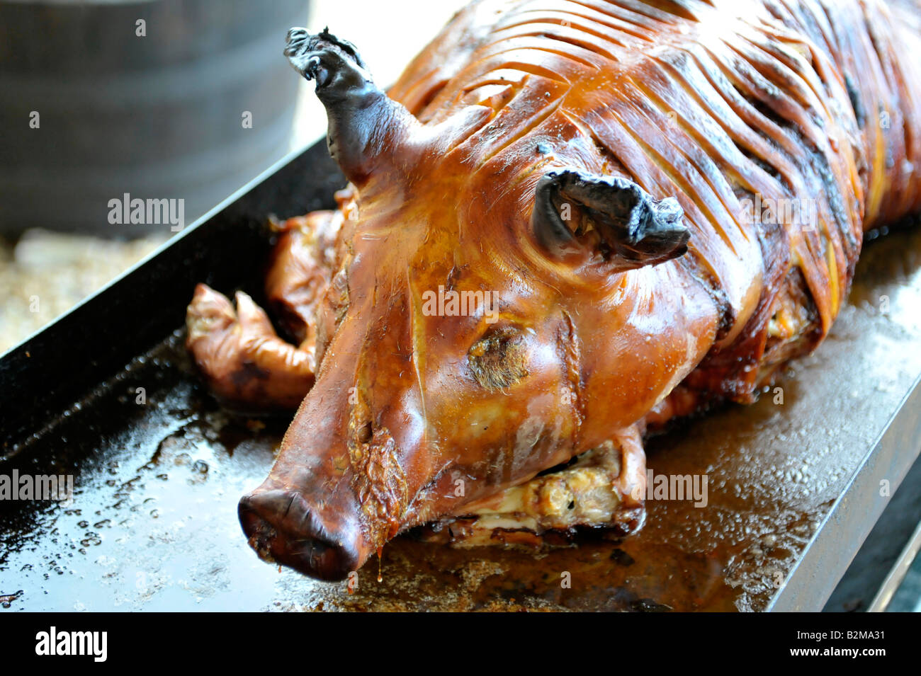 cooked hog roast pig Stock Photo Alamy