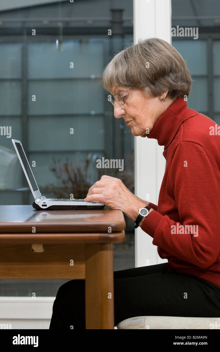 Active pensioner working on laptop Stock Photo Alamy