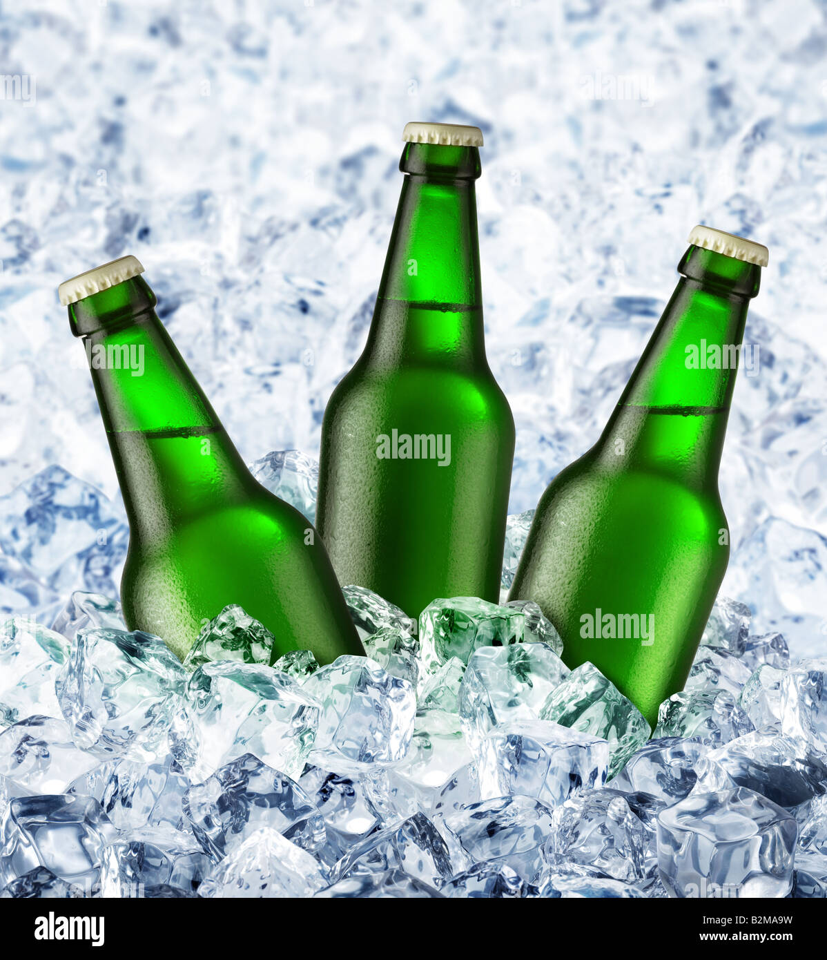 beer is in ice Stock Photo Alamy