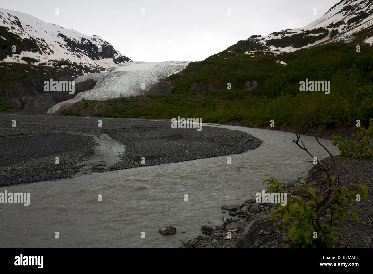 Wide area view on Exit Glacier on Harding Icefield, Seward Stock Photo