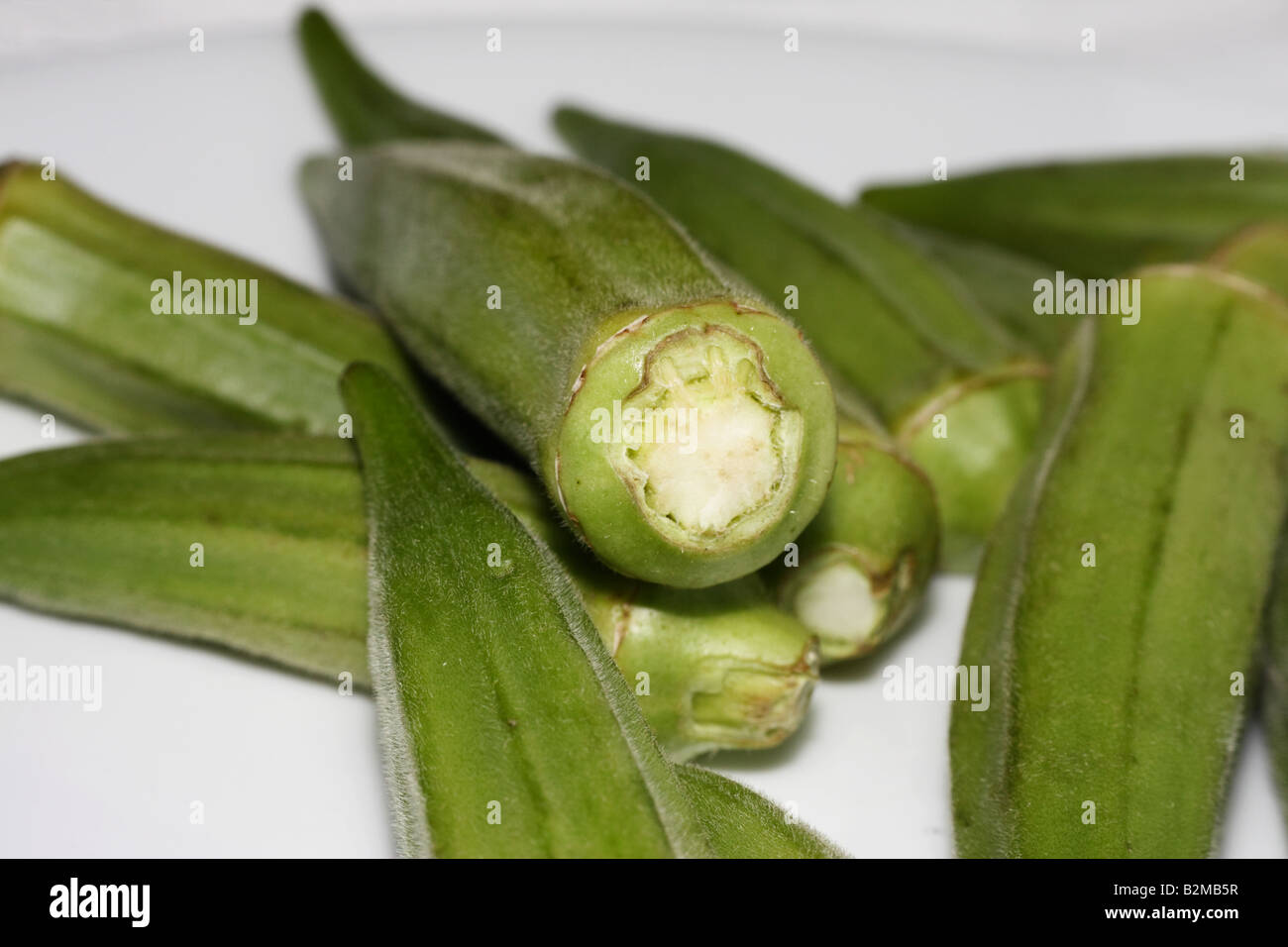 Many Okra Seed Pods Stock Photo Alamy
