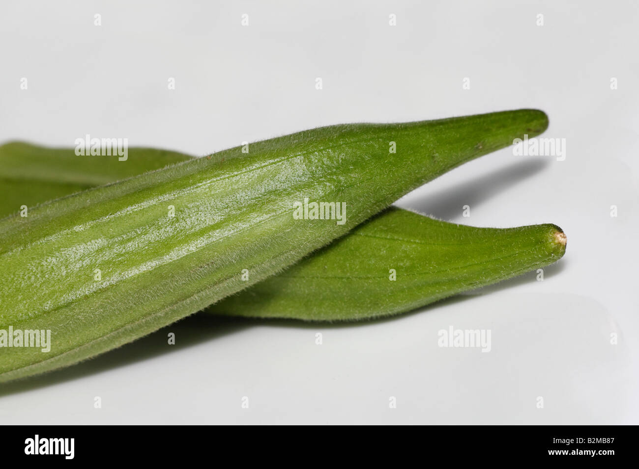 Double Okra Seed Pods Stock Photo Alamy
