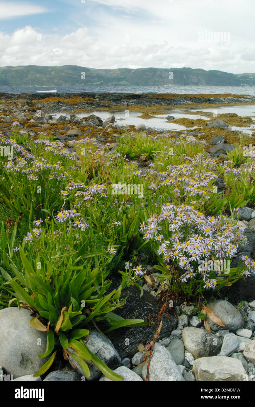 Nord trondelag hi-res stock photography and images - Alamy