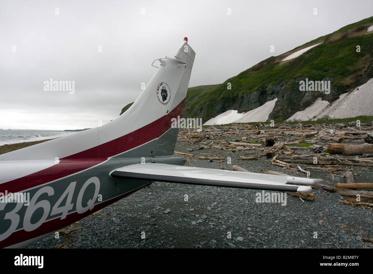 Tail til a cessna on a beach with driftwood. Stock Photo