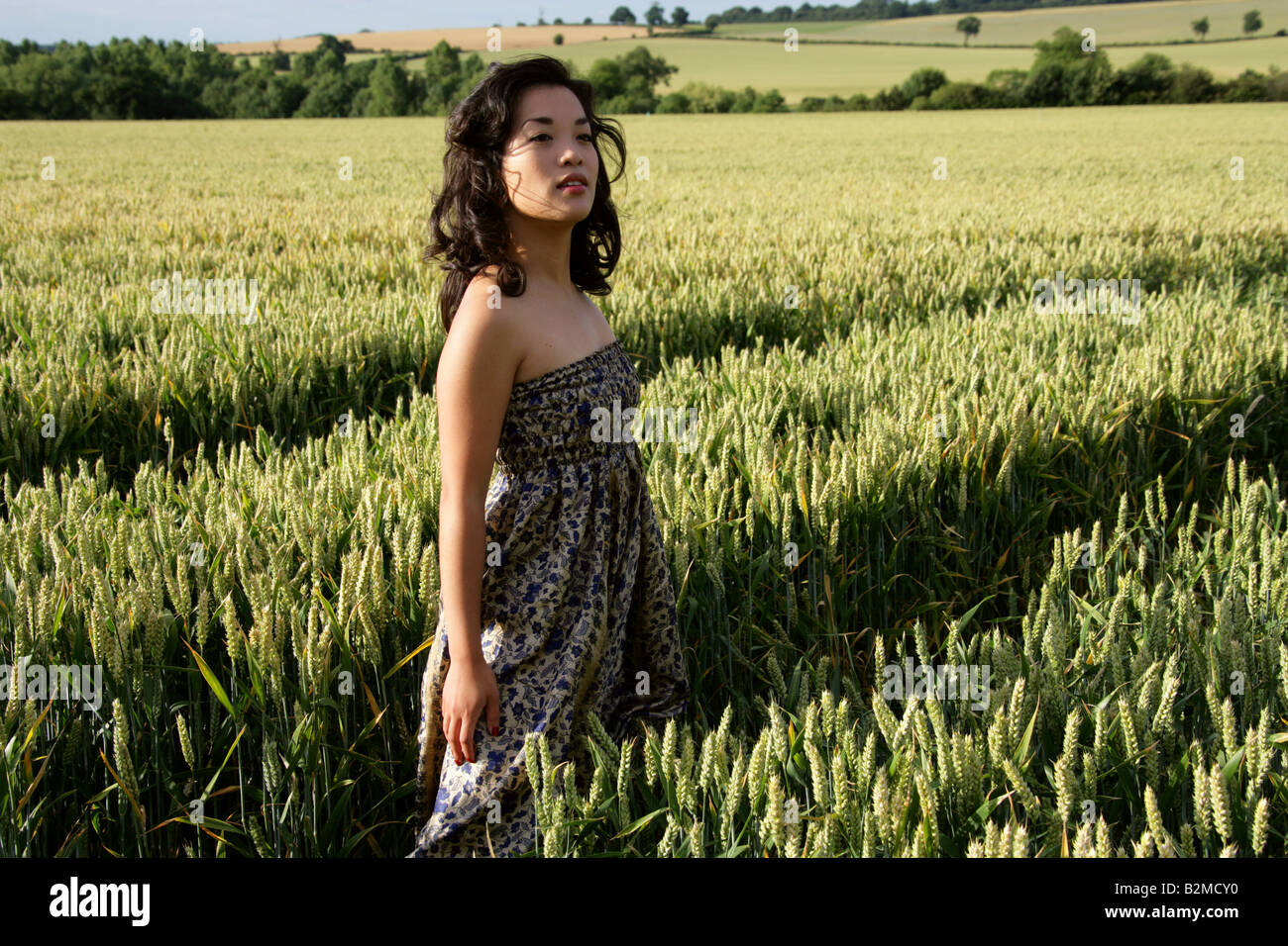 Chinese Girl in a Corn Field Stock Photo