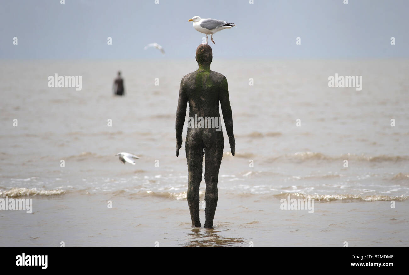 A SEAGULL SITS ON ONE OF THE IRON MEN STATUES ON CROSBY BEACH NEAR LIVERPOOL CREATED BY ARTIST ANTONY GORMLEY,UK,ENGLAND. Stock Photo