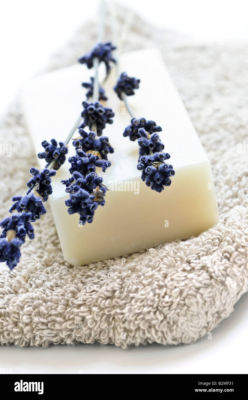 Bar of natural aromatherapy soap with dried lavender Stock Photo Alamy