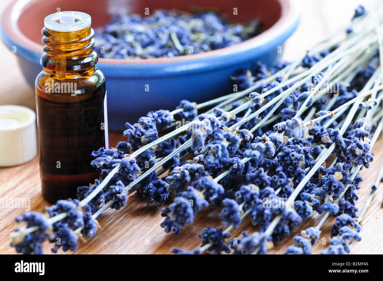 Dried lavender herb and essential aromatherapy oil Stock Photo Alamy