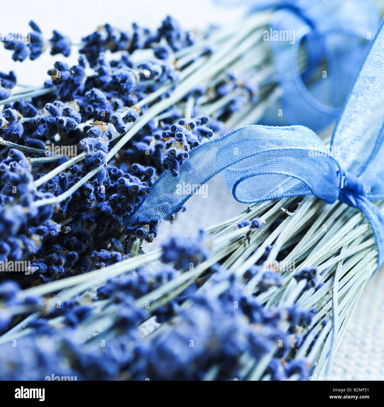 Bunches of dried lavender herb close up Stock Photo Alamy