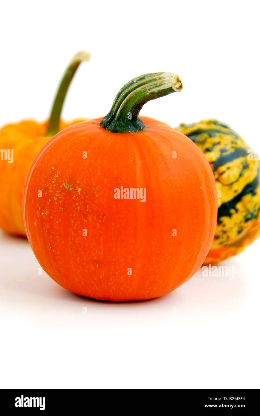 Three mini pumpkins on white background Stock Photo - Alamy