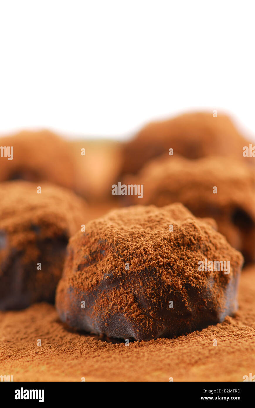 Macro of dark chocolate truffles sprinkled with cocoa powder with white copy space Stock Photo