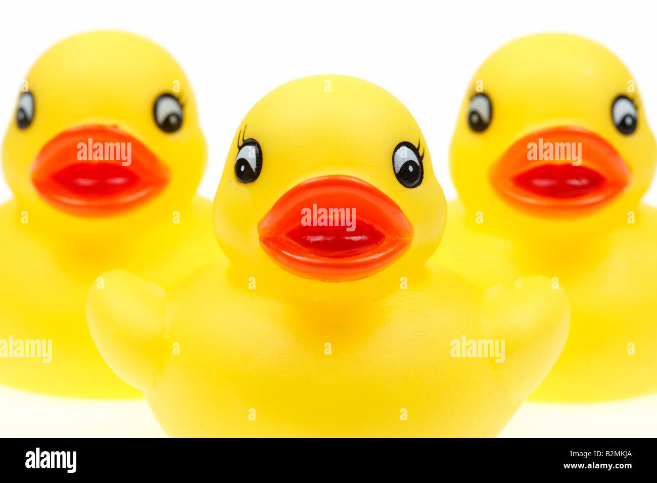 Small yellow plastic ducks isolated on a white background stock photo