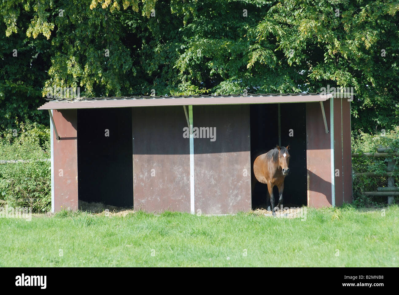 Paddock Horse House Weidehuette Pferdekoppel Stable Stock Photo - Alamy