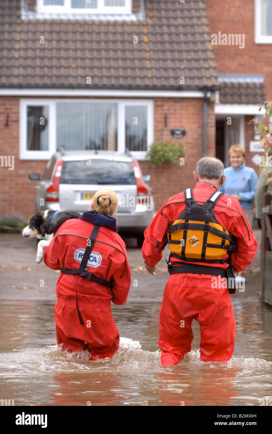 AN RSPCA FLOOD RESCUE OFFICER CARRIES A PET DOG ACROSS A FLOODED STREET WHERE HOMES HAVE BEEN CUT OFF BY FLOODWATER IN TEWKESBUR Stock Photo