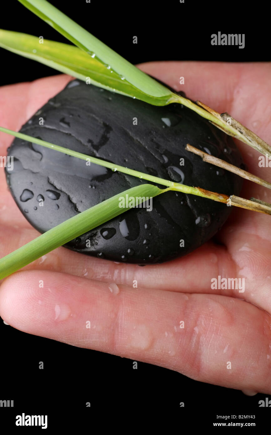 single massage stone in hand with bamboo and water droplets Stock Photo