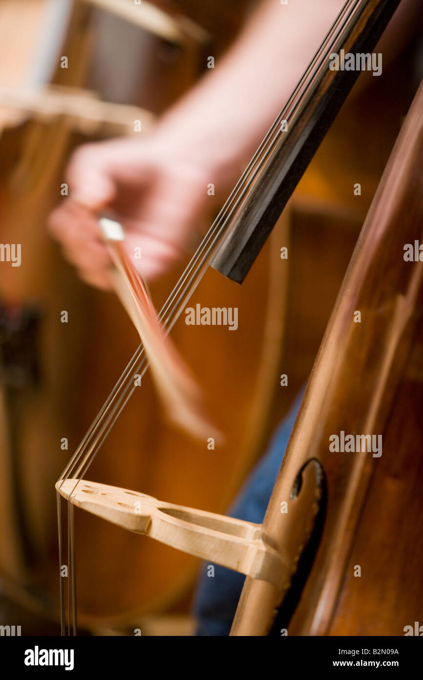 Bass violin player Stock Photo Alamy