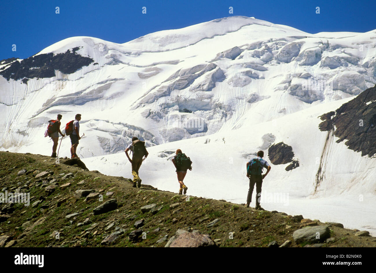 forni glacier, santa caterina valfurva, italy Stock Photo Alamy