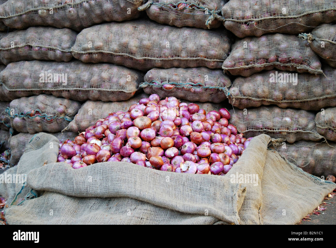 Bags Onion Potato Farmers Market Stock Photo 505053250