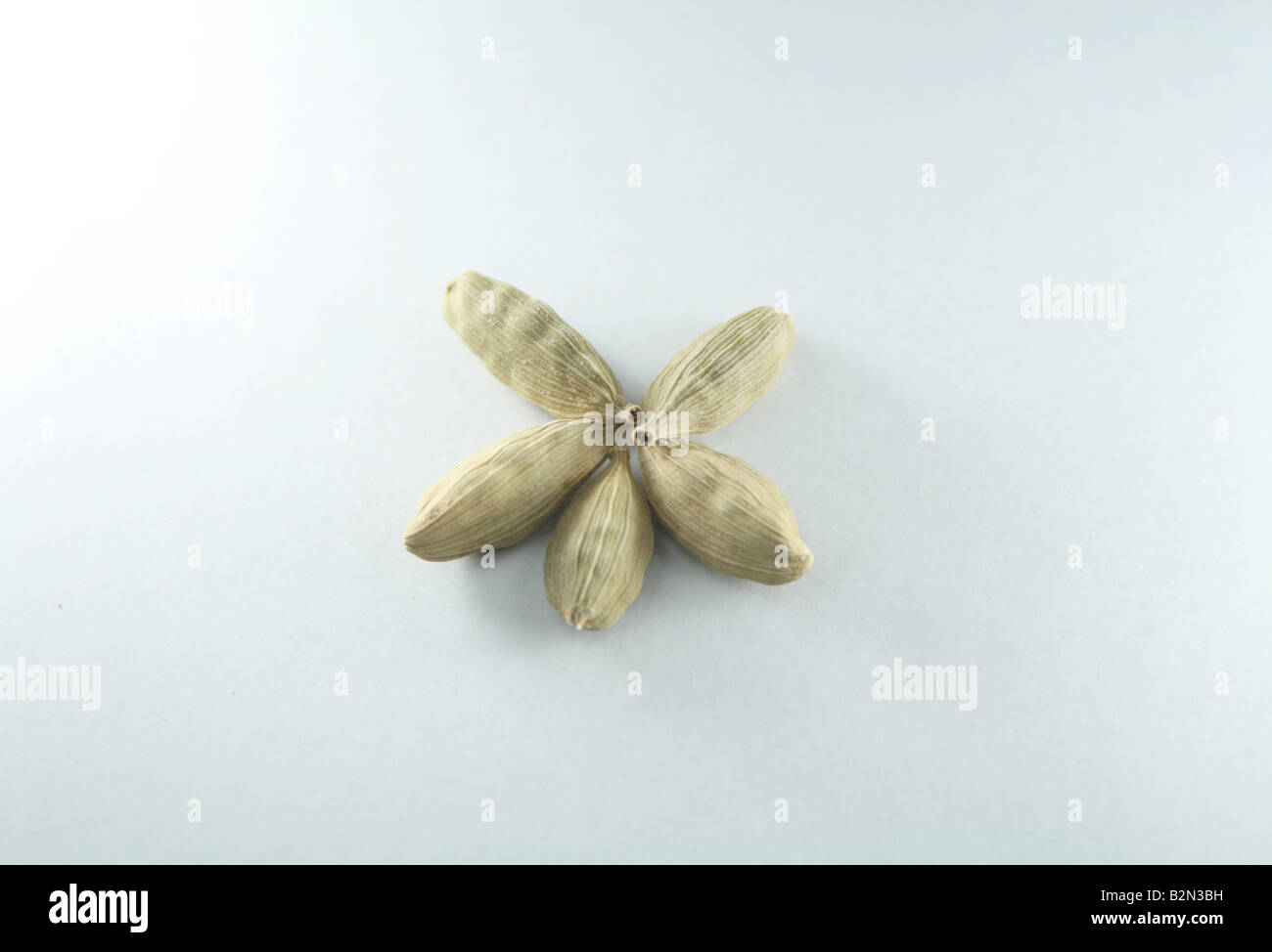 Beautifully arranged set of five cardamoms in white background Stock Photo