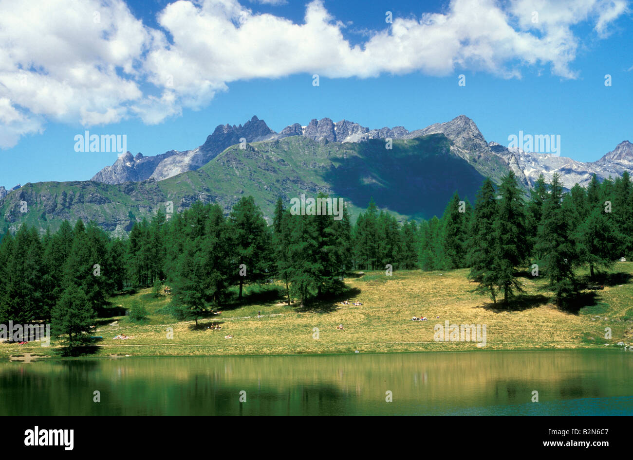 lod lake, chamois, Italy Stock Photo