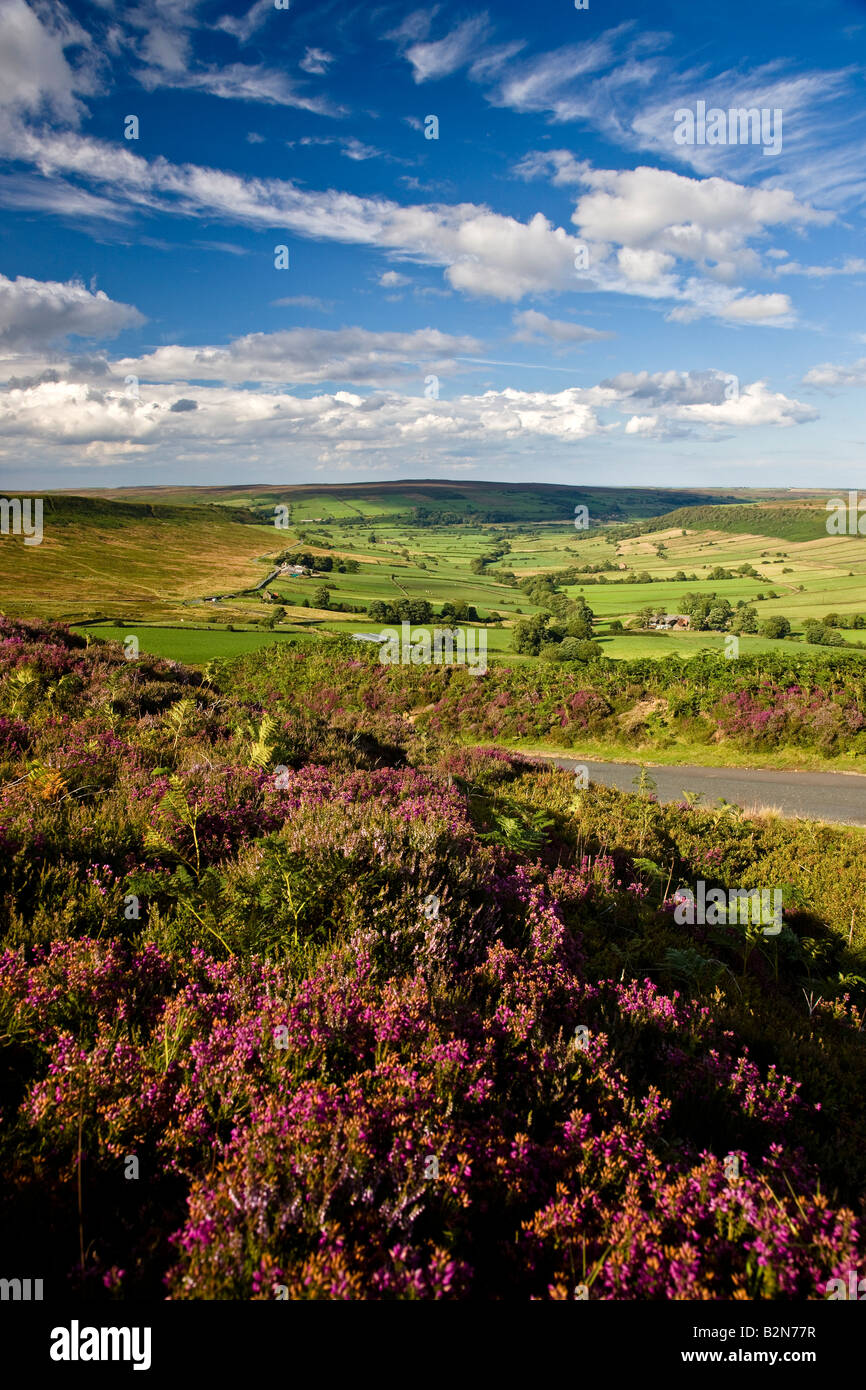 Little Fryupdale North York Moors National Park Yorkshire Stock Photo