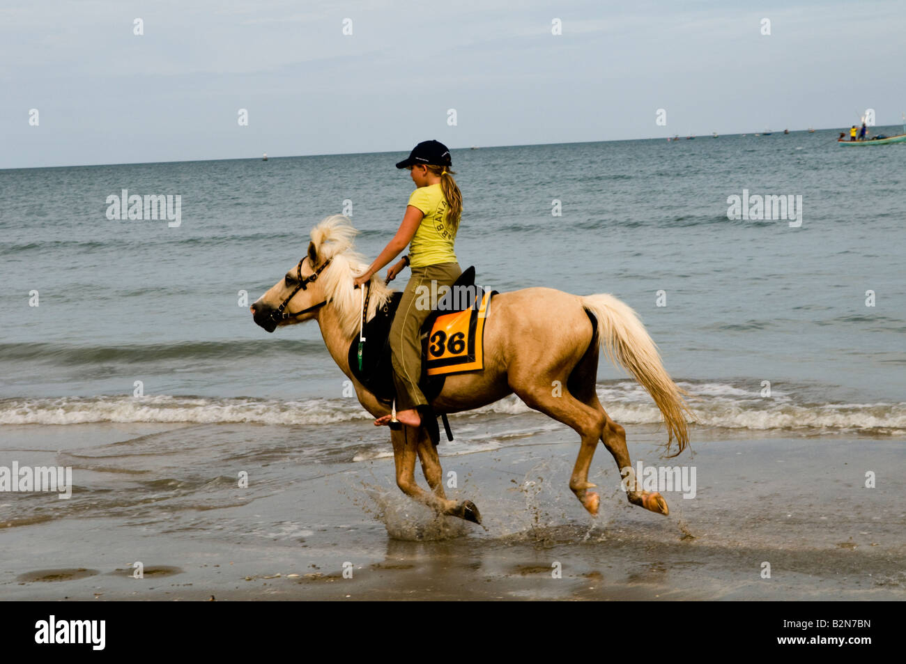 Horse riding on a tropical beach, Thailand Stock Photo