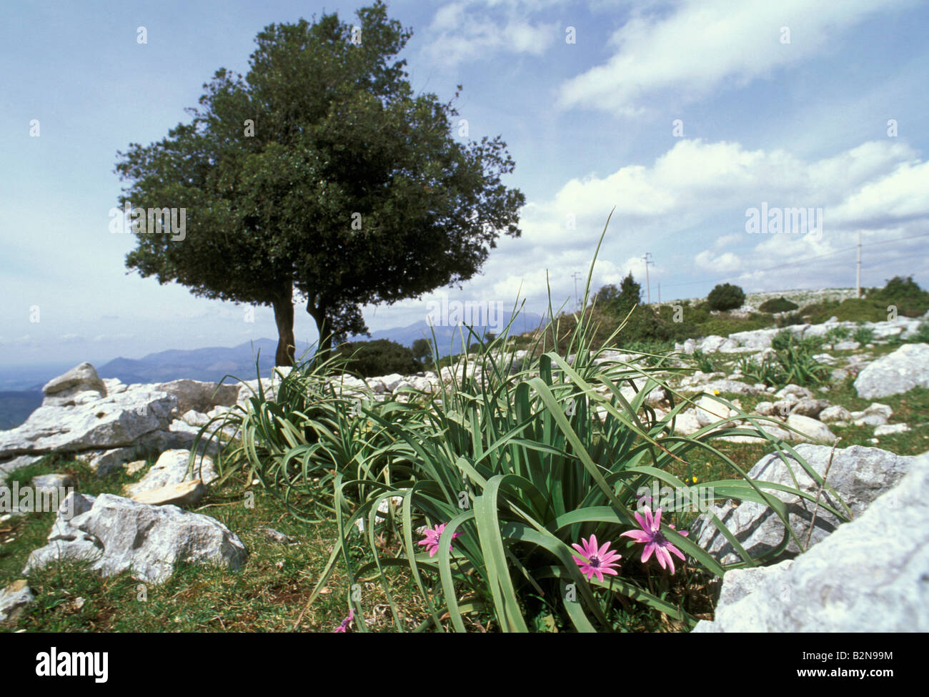le serre mountains, roccasecca dei volsci, italy Stock Photo