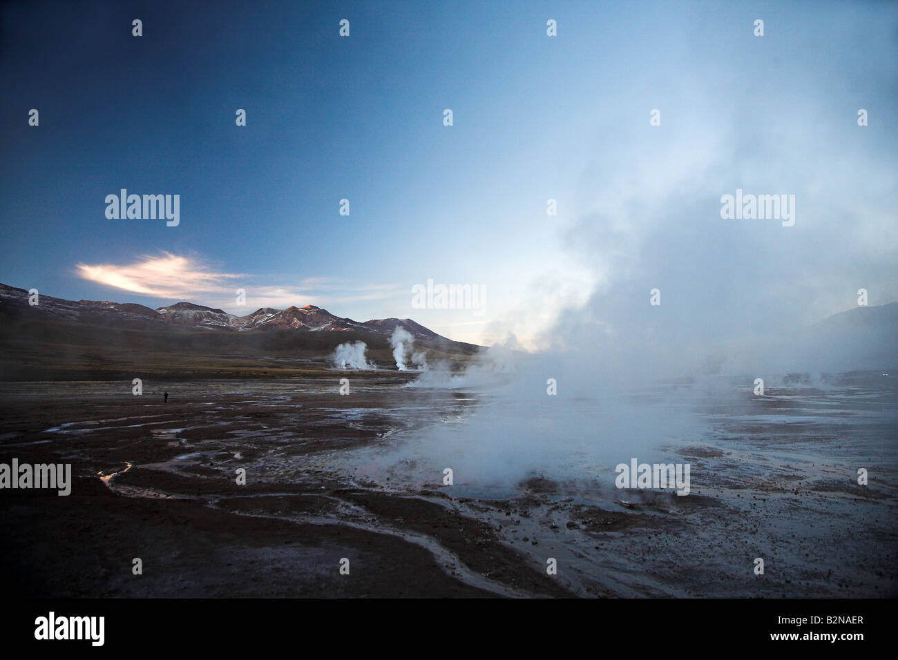 Geysers de el Tatio near San Pedro de Atacama in northern Chile Stock ...