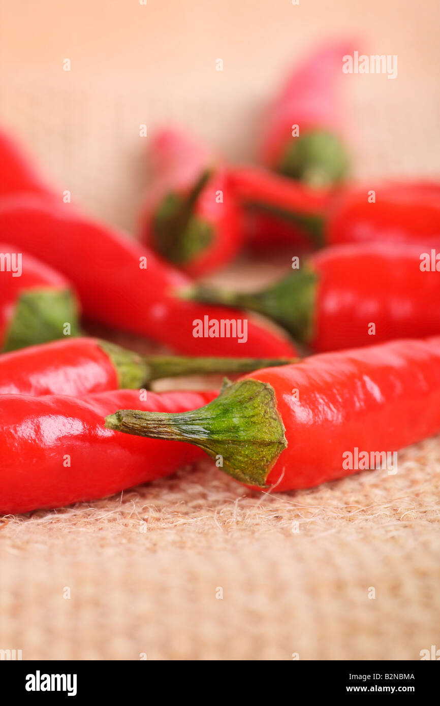 Bird eye chillies classed as very hot chillies perfect for classic Thai