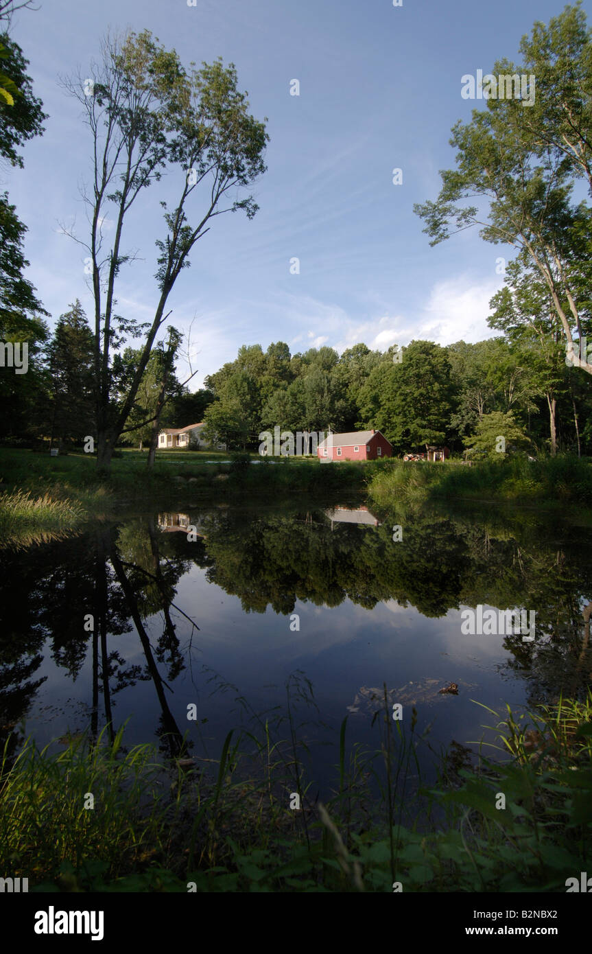 Organic Nature's Edge Farm in Canterbury CT Stock Photo