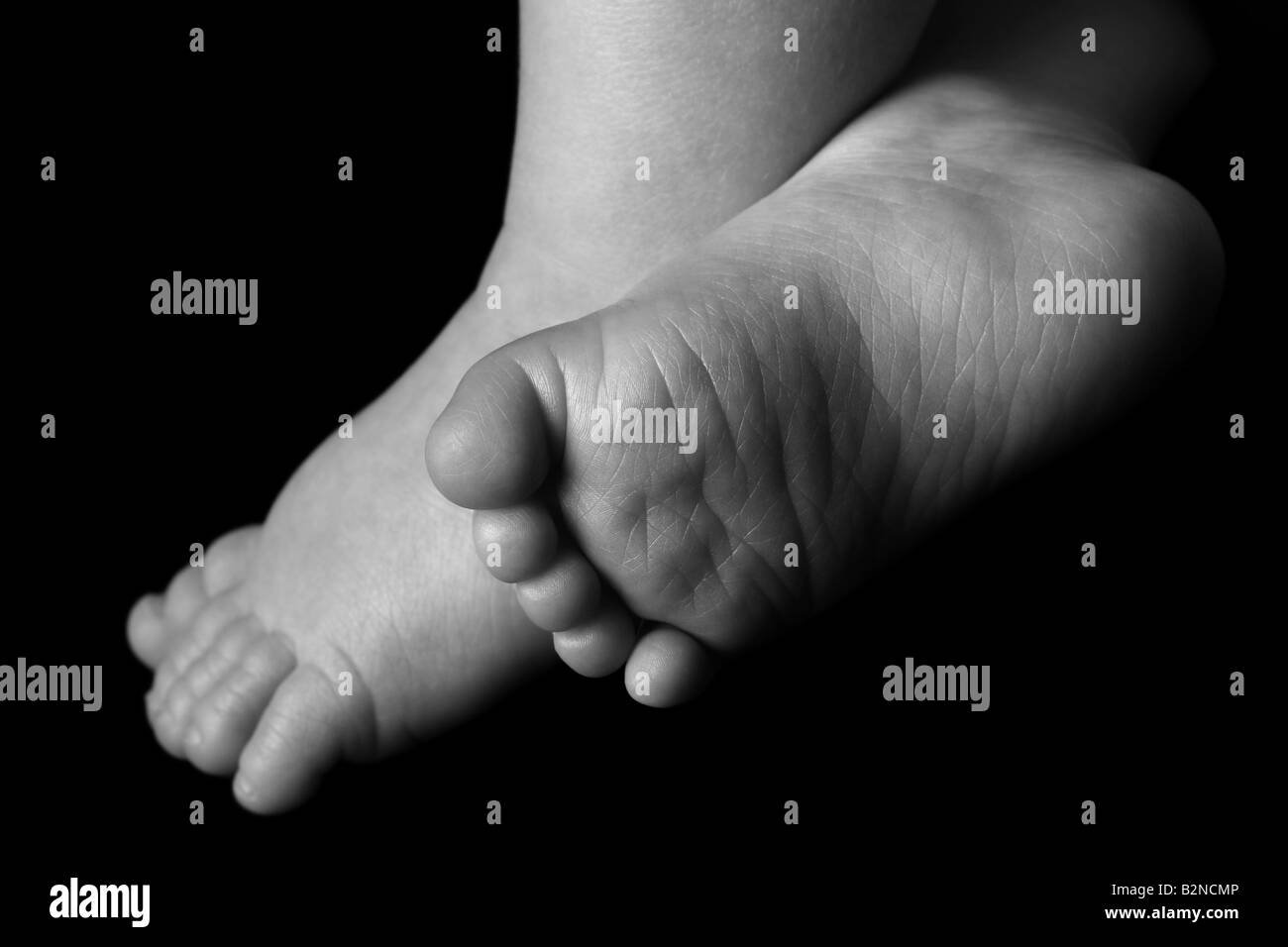 black and white of a babies feet showing ten little toes Stock Photo