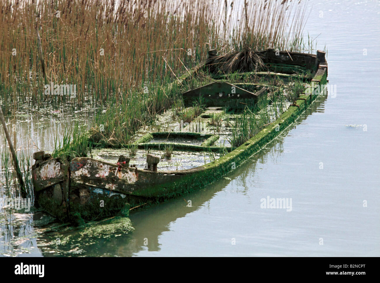 wreck at po di goro, delta po goro, italy Stock Photo Alamy
